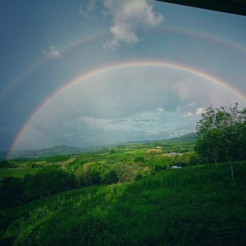 Rainbow