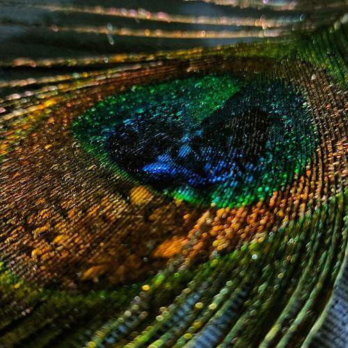 Photo #6203896