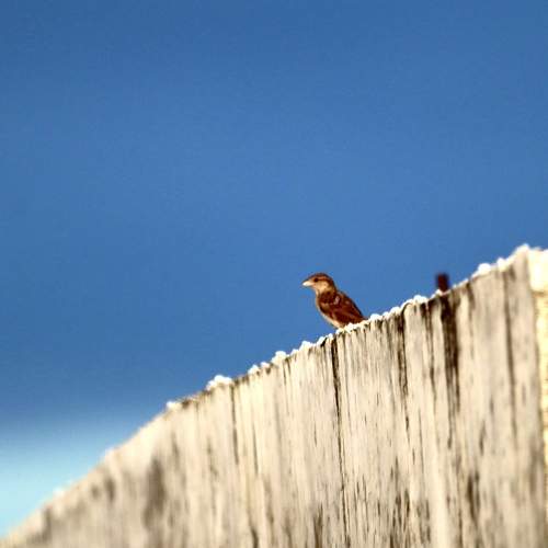 Photo #6203953