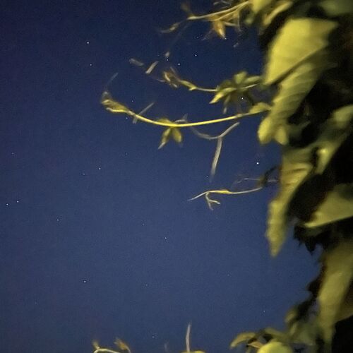 Photo #6204054