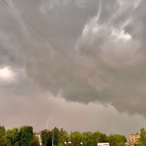 Photo #6204095
