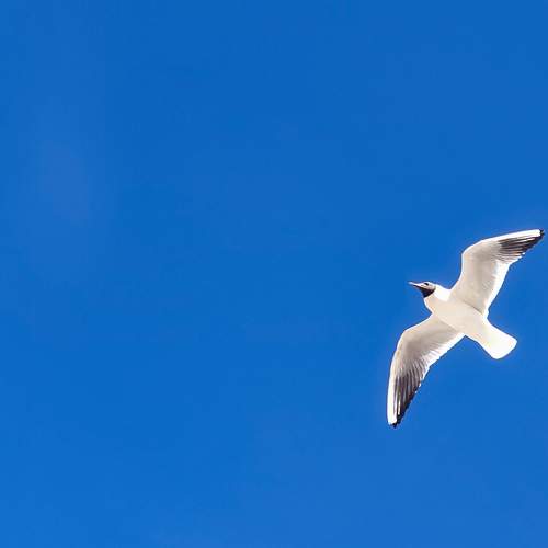 Up in the air