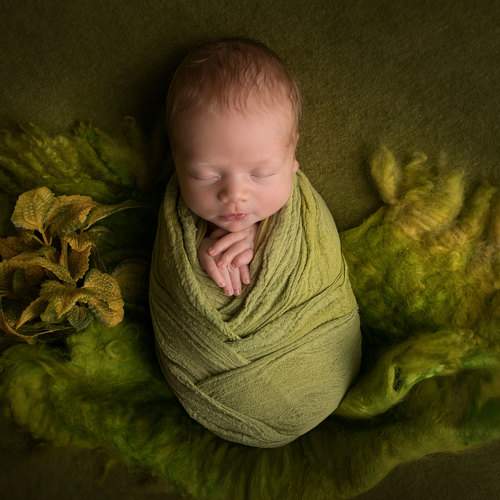 Photo #6204124