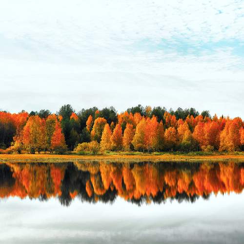 Photo #6204126