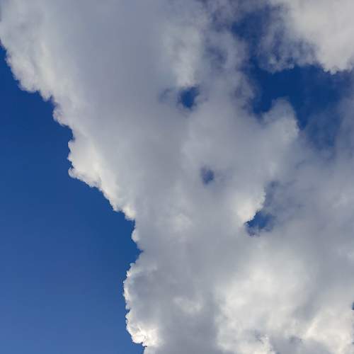 Photo #6204187