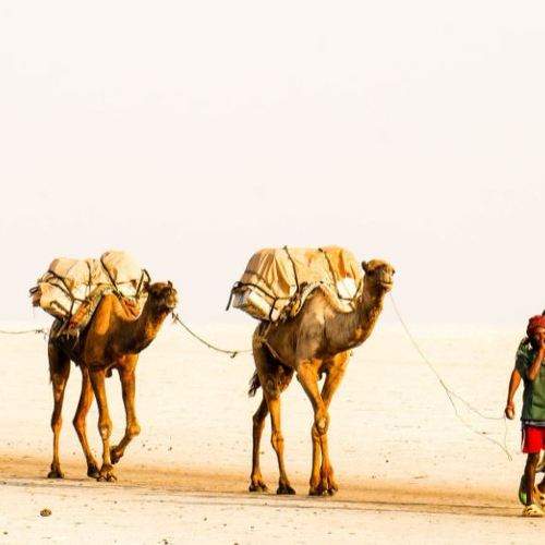 Photo #6204652