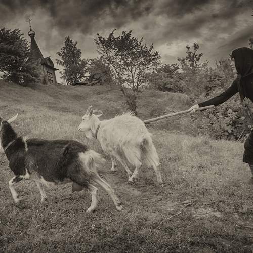 Photo #6204791