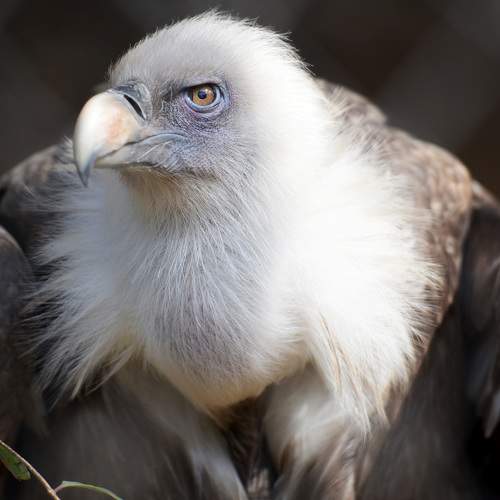 Photo #6204822