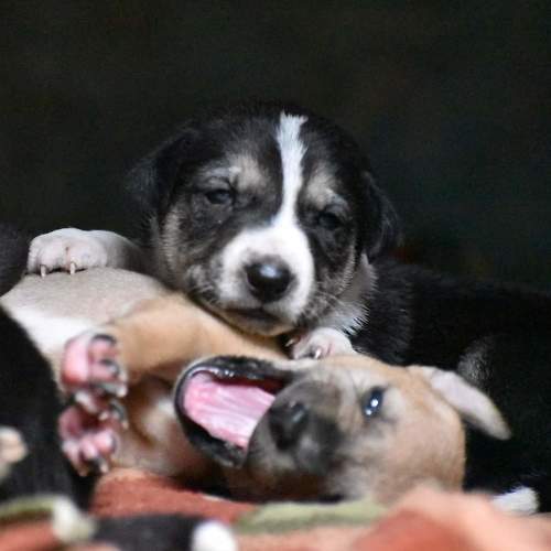 Photo #6204864