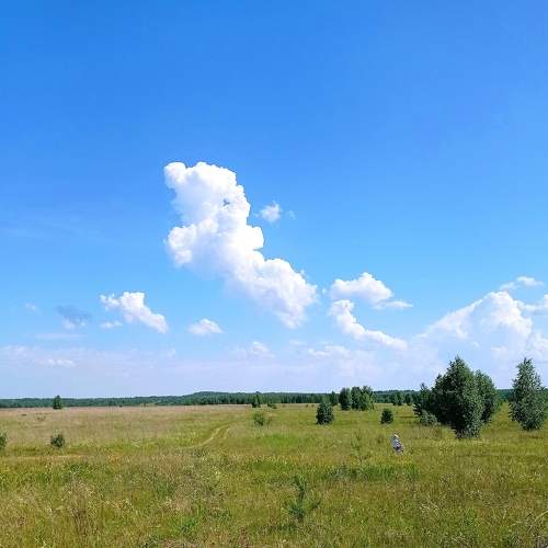 Photo #6204975