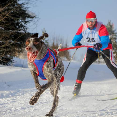 Photo #6205021