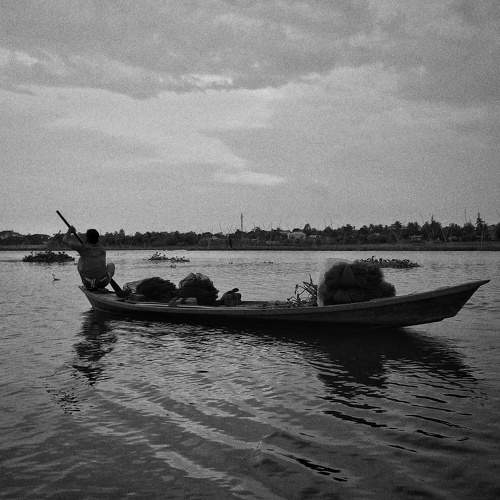 Photo #6205210