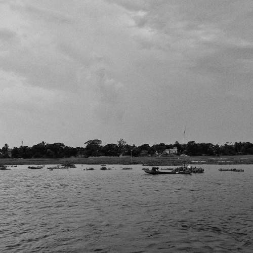 Photo #6205217