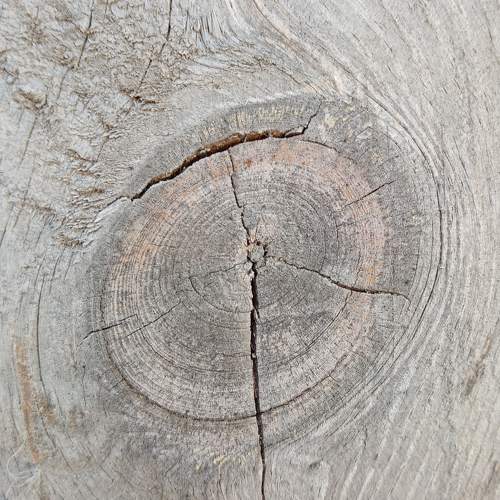 Photo #6205240
