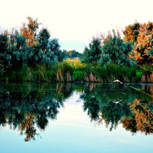 Photo #6205287