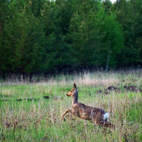 Photo #6205302