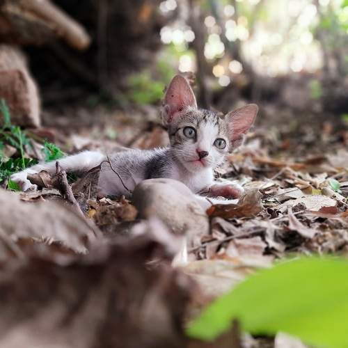 Photo #6205617