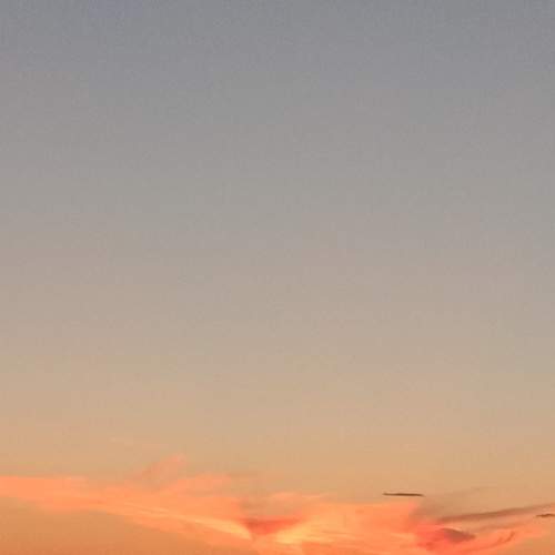 Photo #6205645