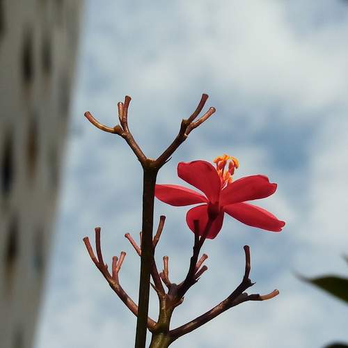 Photo #6205668
