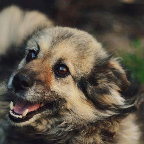 Photo #6205881