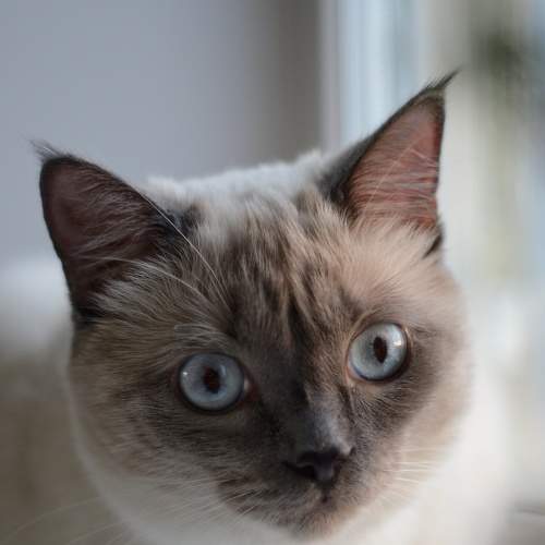 Photo #6206144