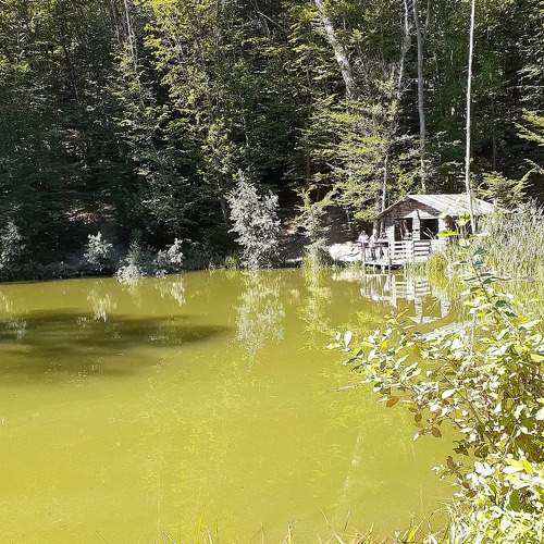 Photo #6206206