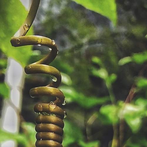 Photo #6206221