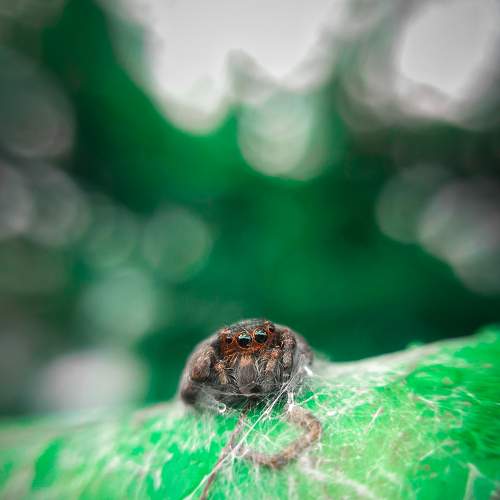 Photo #6206331