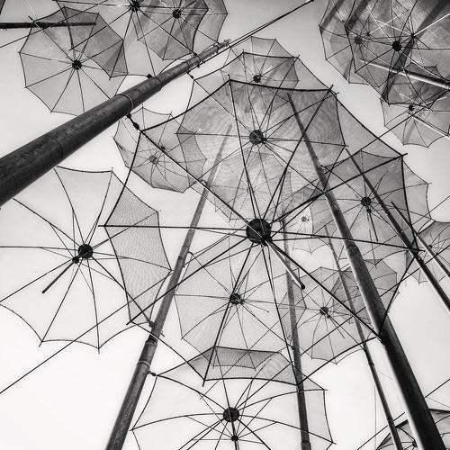 Umbrellas
