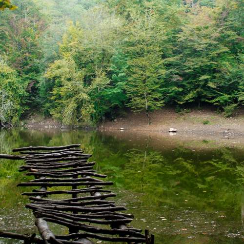 Photo #6206553