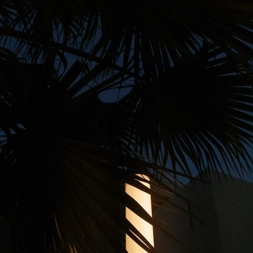 Photo #6206666