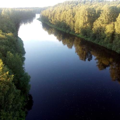 Photo #6206798