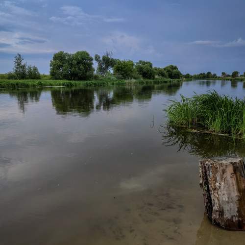 Photo #6206941