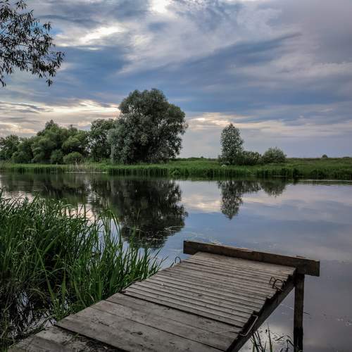 Photo #6206945