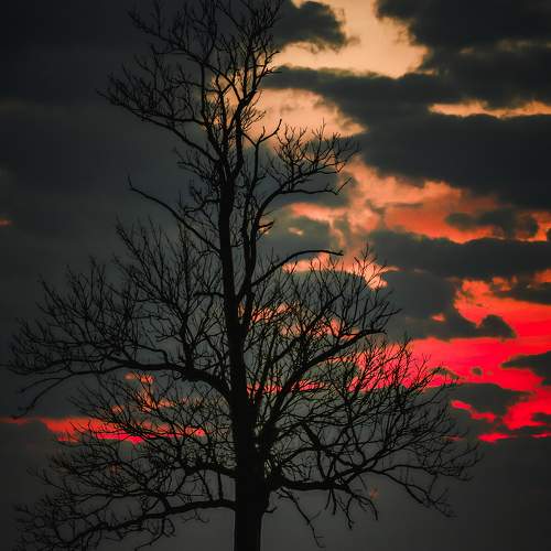 Photo #6207304