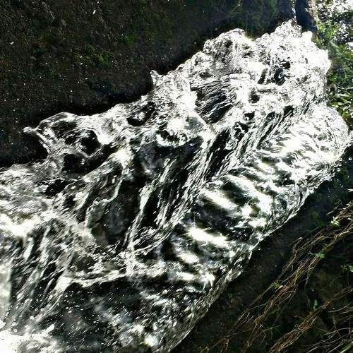 Photo #6207786