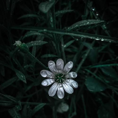 Photo #6207864