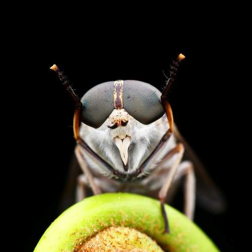 Photo #6207973