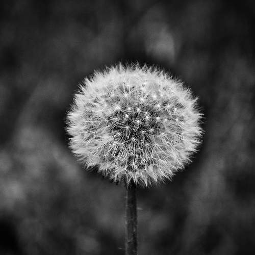Photo #6208384