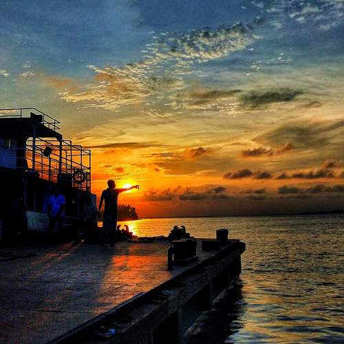 Photo #6208455