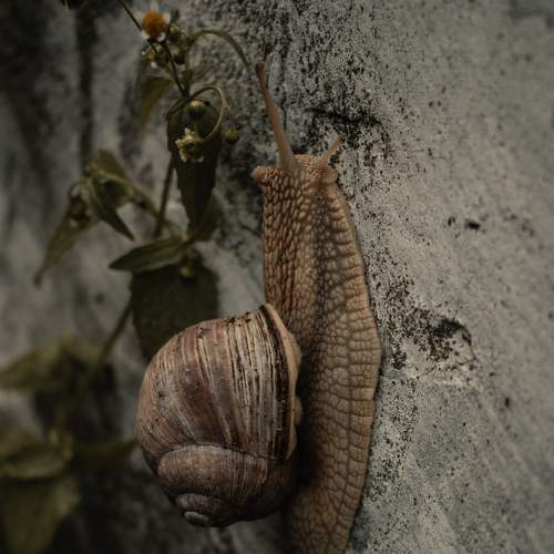 Photo #6208638