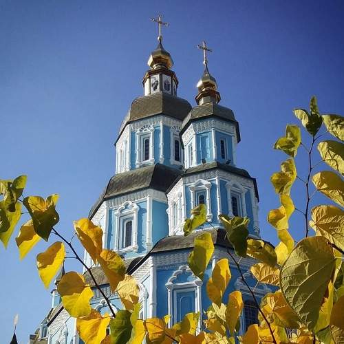 Photo #6208746