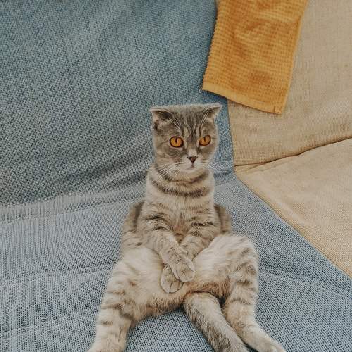Photo #6209077