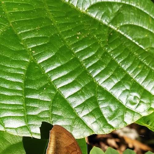 Photo #6209078