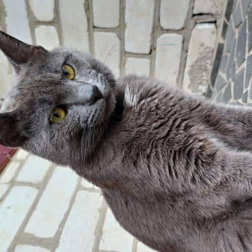 Photo #6209227