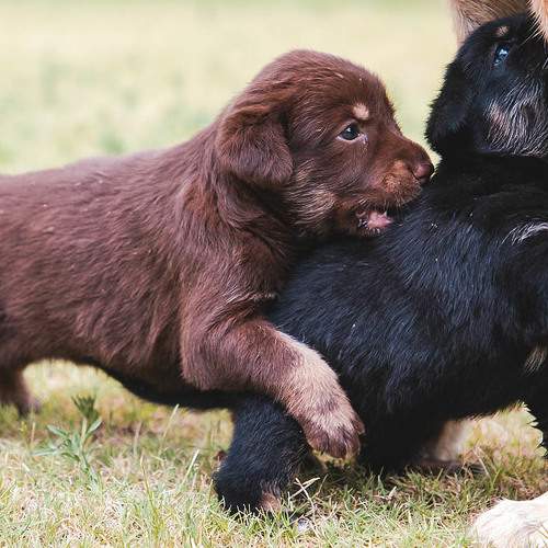 Photo #6209288