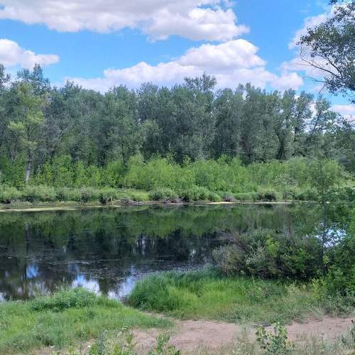 Photo #6209320