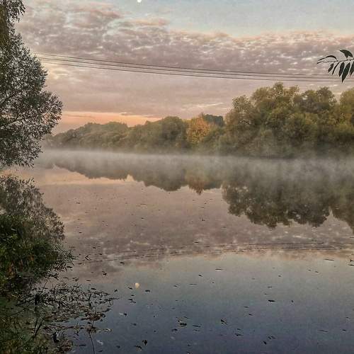 Photo #6209662