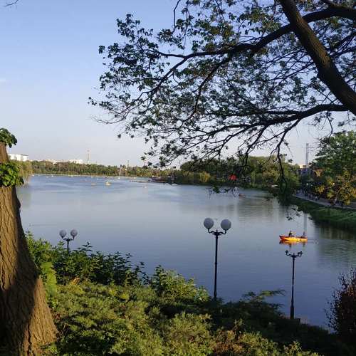 Photo #6209841