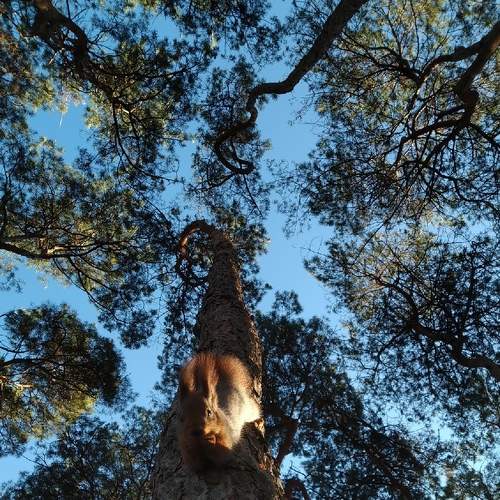 Photo #6210014
